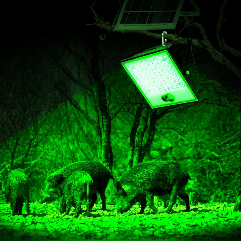 LANGY Green Floodlights Solar Feeder ...