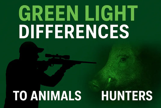Why Green Light Works Best for Night Hunting: The Science Every Hunter Should Know