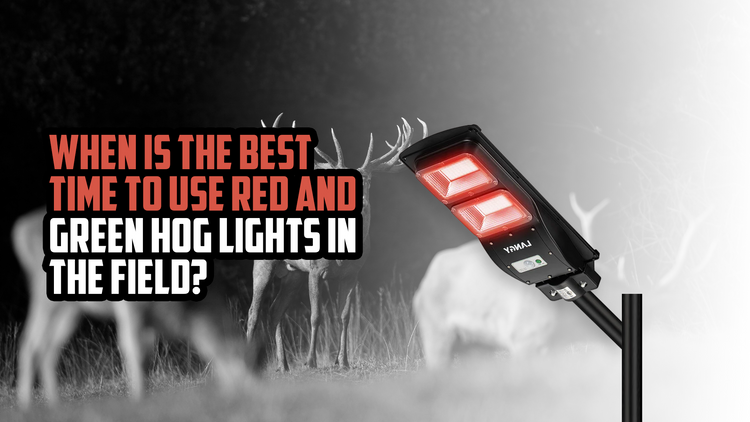 When is the Best Time to Use Red and Green Hog Lights in the Field?