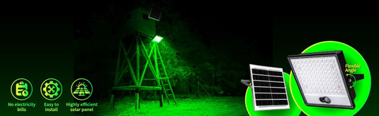 Best Green Solar Lights for Effective Hog Hunting