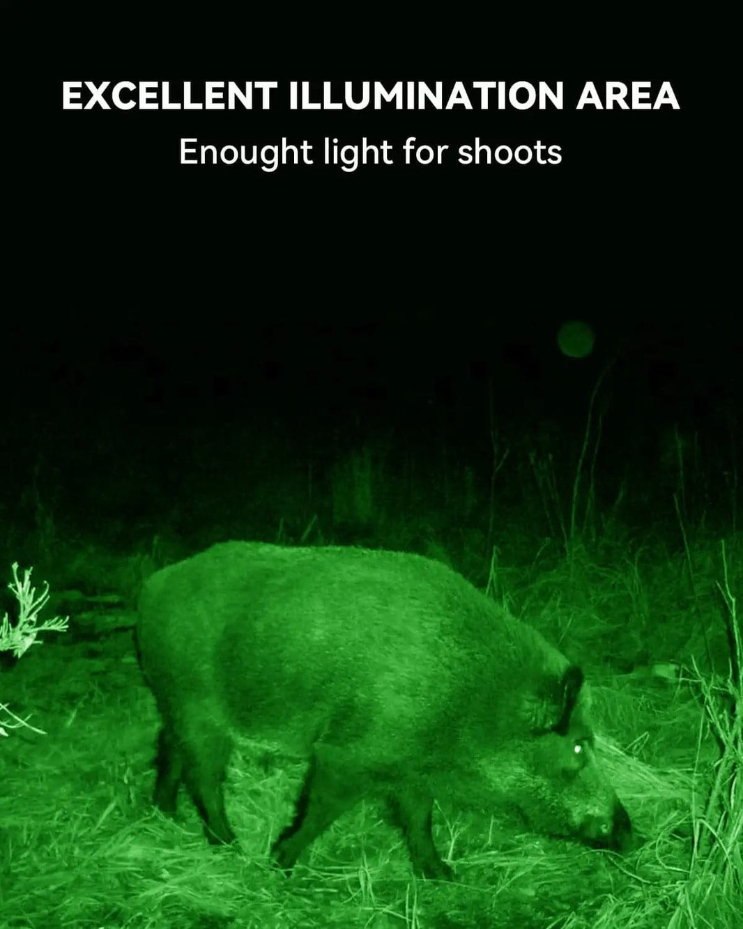 Solar Green Light for Hunting Hogs Deer,Fish light,motion active